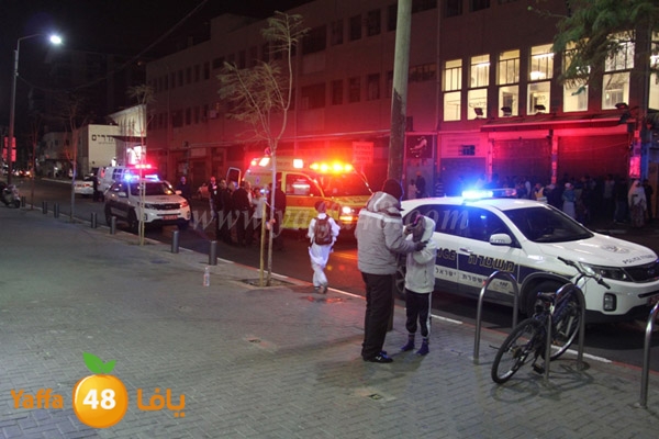 shejar aretreeien (6).JPG